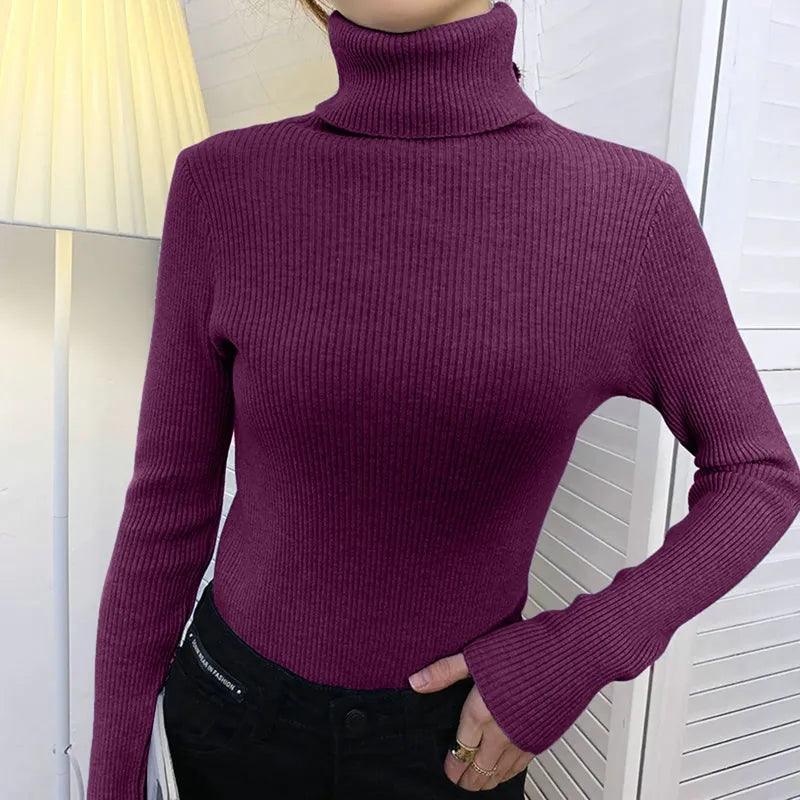 Pull col roulé fin et doux – violet foncé